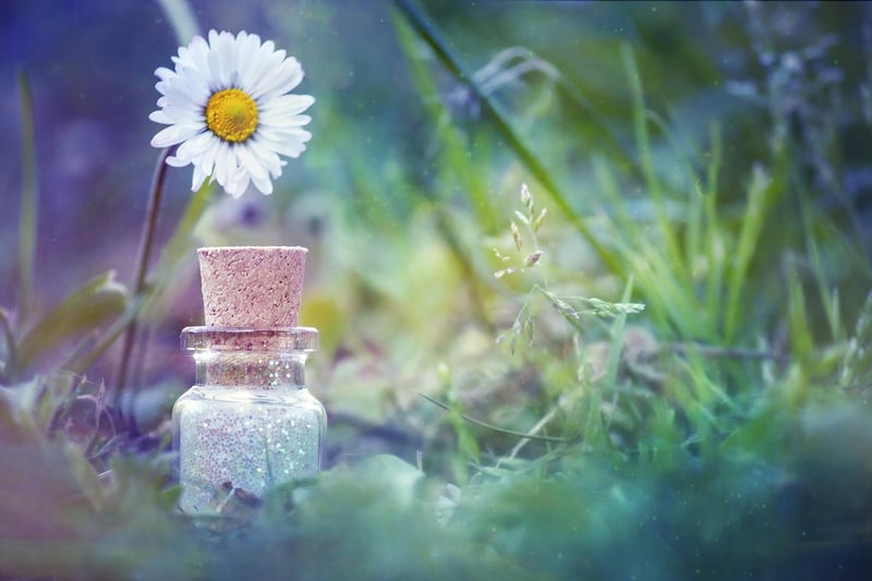 Fairy Whimsy